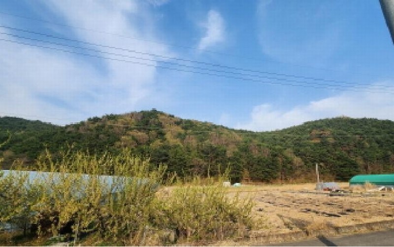 2025타경11519 울산광역시 울주군 상북면 궁근정리 산169-20 임야 경매 이미지