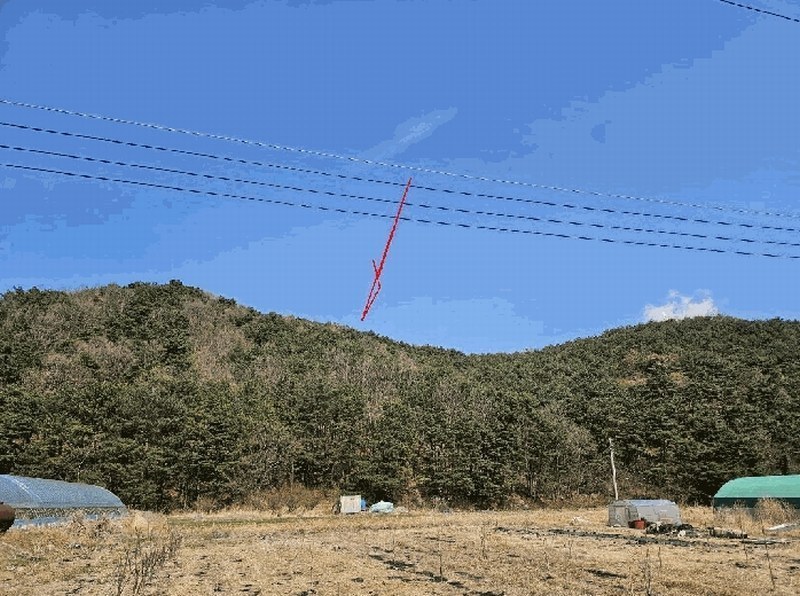 2025타경11519 울산광역시 울주군 상북면 궁근정리 산169-20 임야 경매 이미지
