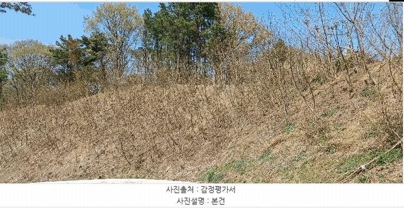 2025타경11565 울산광역시 중구 성안동 산194-9 임야 경매 이미지