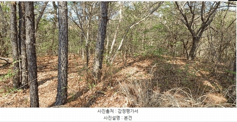 2025타경11565 울산광역시 중구 성안동 산194-9 임야 경매 이미지