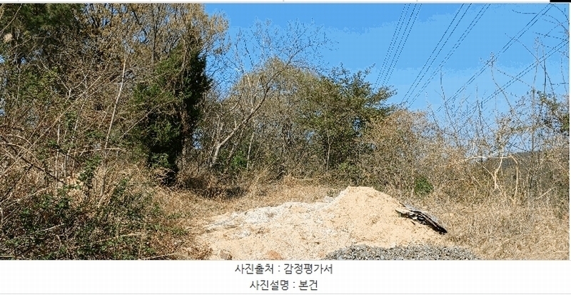 2025타경11565 울산광역시 중구 성안동 산194-9 임야 경매 이미지
