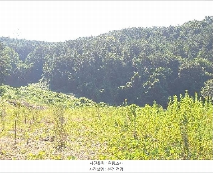 2025타경11703 경상남도 창원시 진해구 청안동 산91-1 임야 경매 이미지