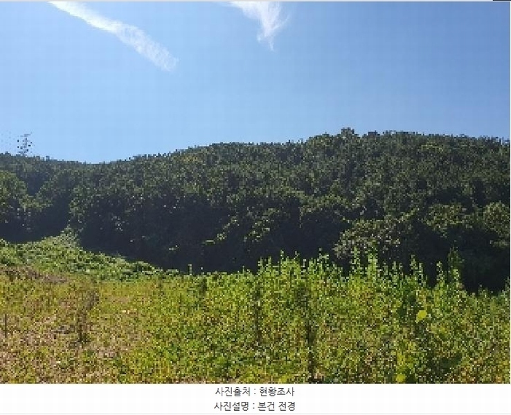 2025타경11703 경상남도 창원시 진해구 청안동 산91-1 임야 경매 이미지