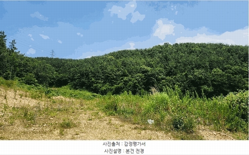 2025타경11703 경상남도 창원시 진해구 청안동 산91-1 임야 경매 이미지