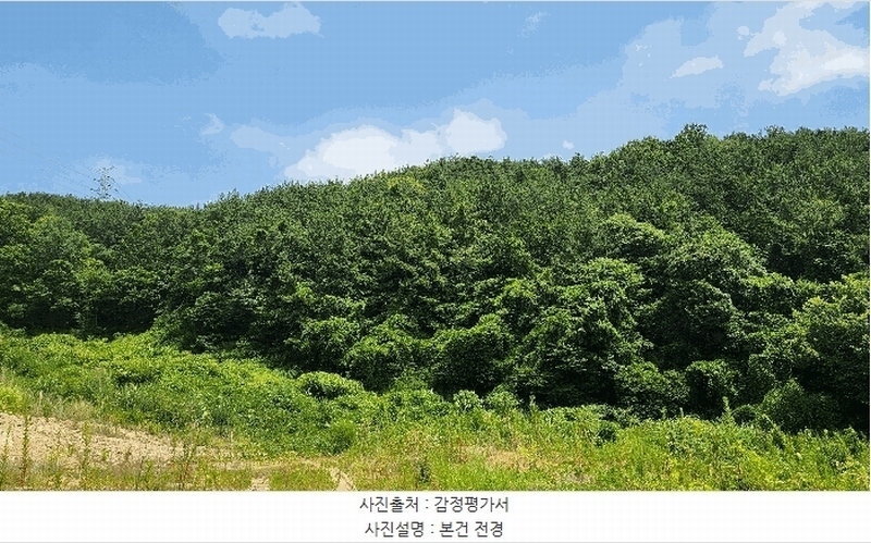 2025타경11703 경상남도 창원시 진해구 청안동 산91-1 임야 경매 이미지