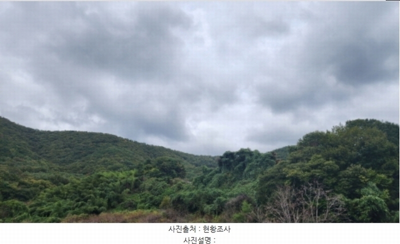 2024타경8678 울산광역시 울주군 범서읍 망성리 380-1 과수원 경매 이미지