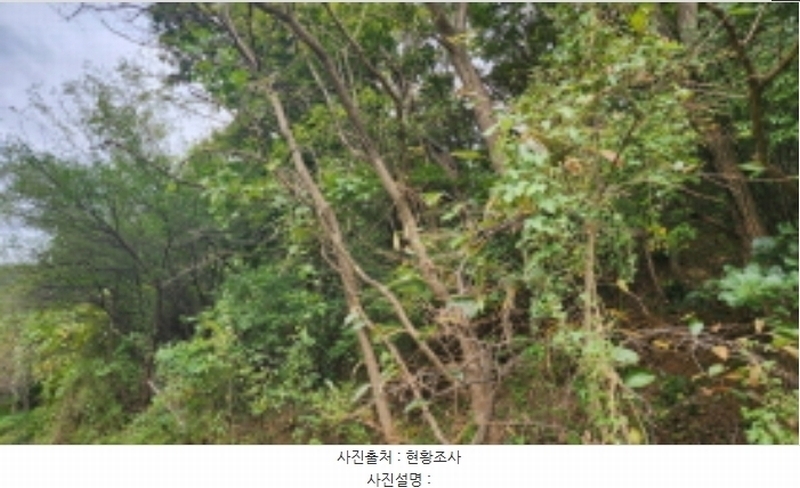 2024타경8678 울산광역시 울주군 범서읍 망성리 380-1 과수원 경매 이미지