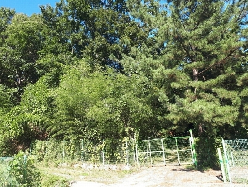 2024타경8678 울산광역시 울주군 범서읍 망성리 380-1 과수원 경매 이미지