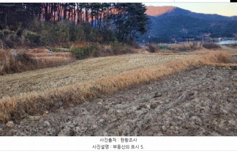 2024타경9695 울산광역시 울주군 상북면 거리 802 농지 경매 이미지