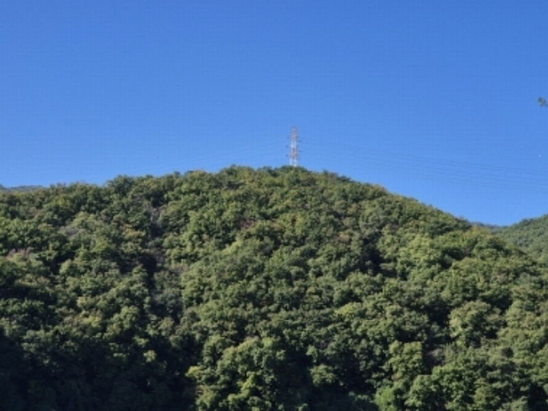 2024타경116784 울산광역시 북구 무룡동 산150 임야 경매 이미지