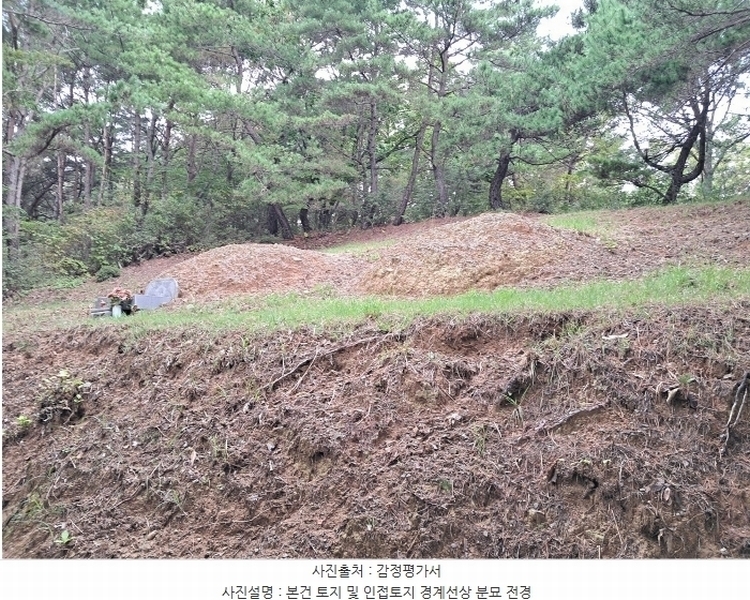 2024타경116784 울산광역시 북구 무룡동 산150 임야 경매 이미지