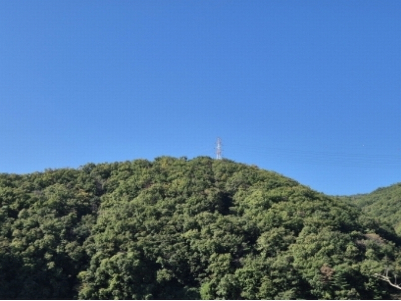 2024타경116784 울산광역시 북구 무룡동 산150 임야 경매 이미지