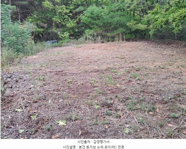 2024타경116784 울산광역시 북구 무룡동 산150 임야 경매 이미지