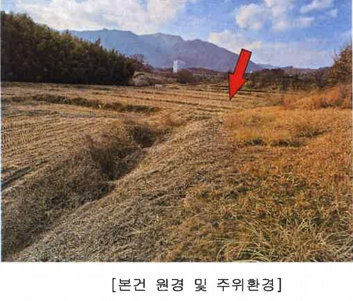 2025타경10715 울산광역시 울주군 삼남읍 상천리 118-1 농지 경매 이미지
