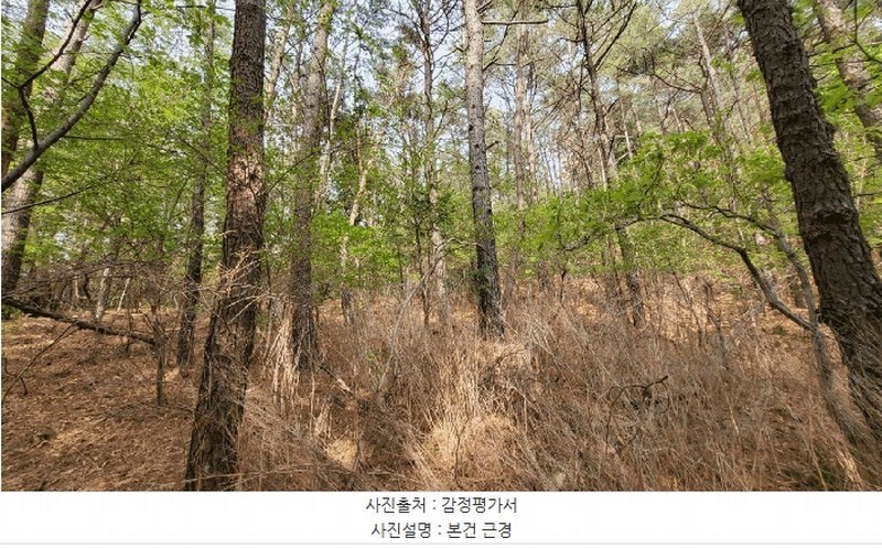 2025타경11627 울산광역시 울주군 언양읍 직동리 산75-8 임야 경매 이미지