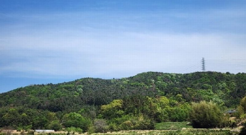 2025타경11627 울산광역시 울주군 언양읍 직동리 산75-8 임야 경매 이미지