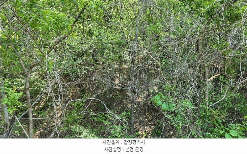 2025타경11627 울산광역시 울주군 언양읍 직동리 산75-8 임야 경매 이미지