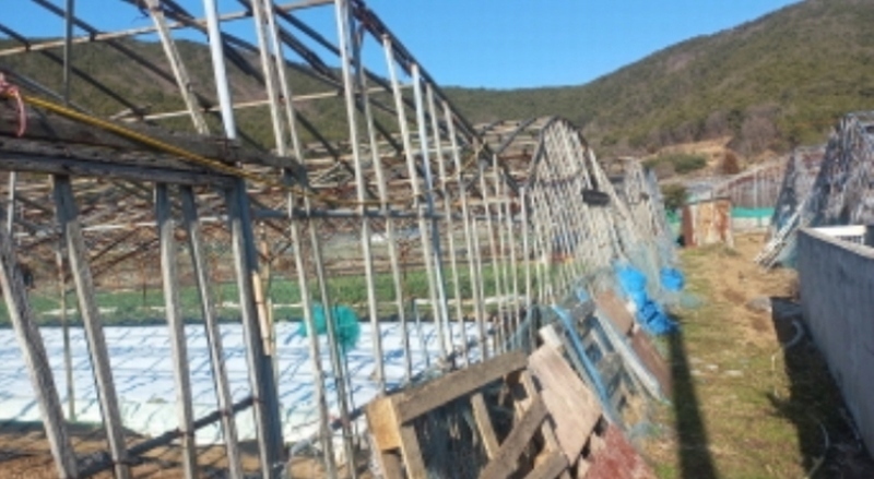 2024타경124 경상남도 거제시 거제면 소랑리 362-1 농지 경매 이미지