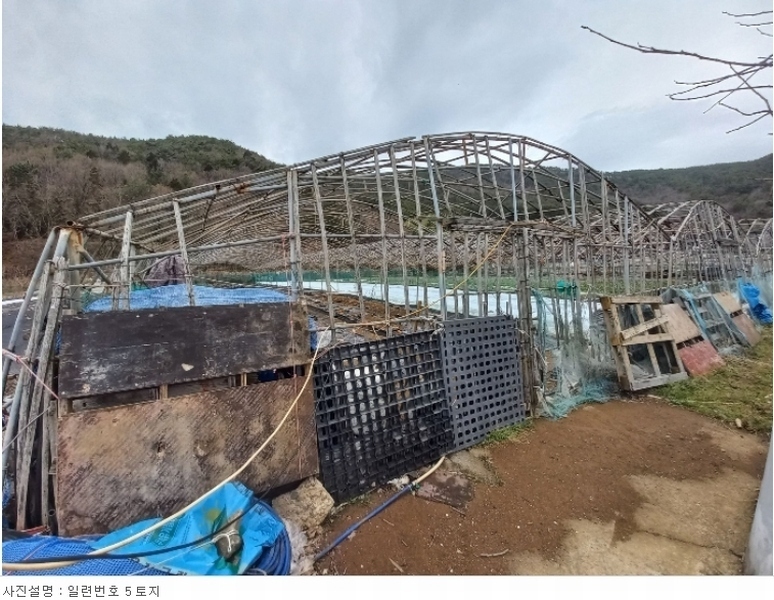 2024타경124 경상남도 거제시 거제면 소랑리 362-1 농지 경매 이미지
