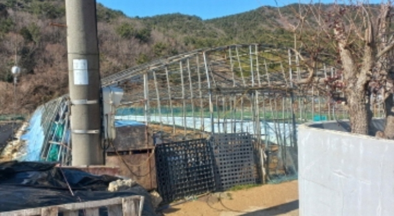 2024타경124 경상남도 거제시 거제면 소랑리 362-1 농지 경매 이미지