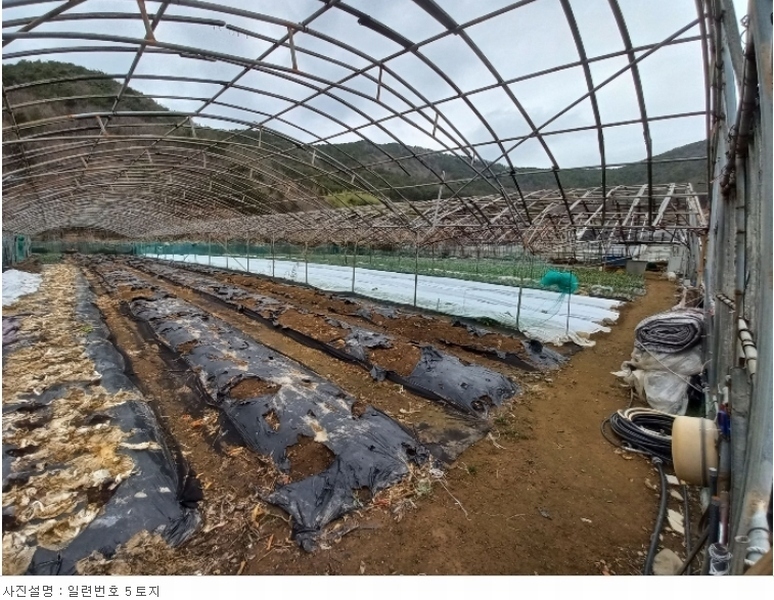 2024타경124 경상남도 거제시 거제면 소랑리 362-1 농지 경매 이미지