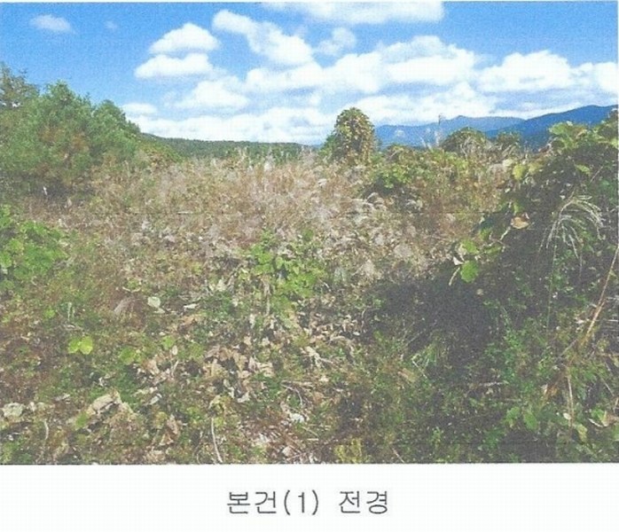 2024타경8647 울산광역시 울주군 두서면 서하리 630-9 임야 경매 이미지