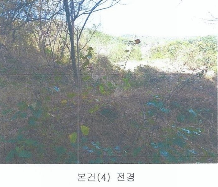 2024타경8647 울산광역시 울주군 두서면 서하리 630-9 임야 경매 이미지
