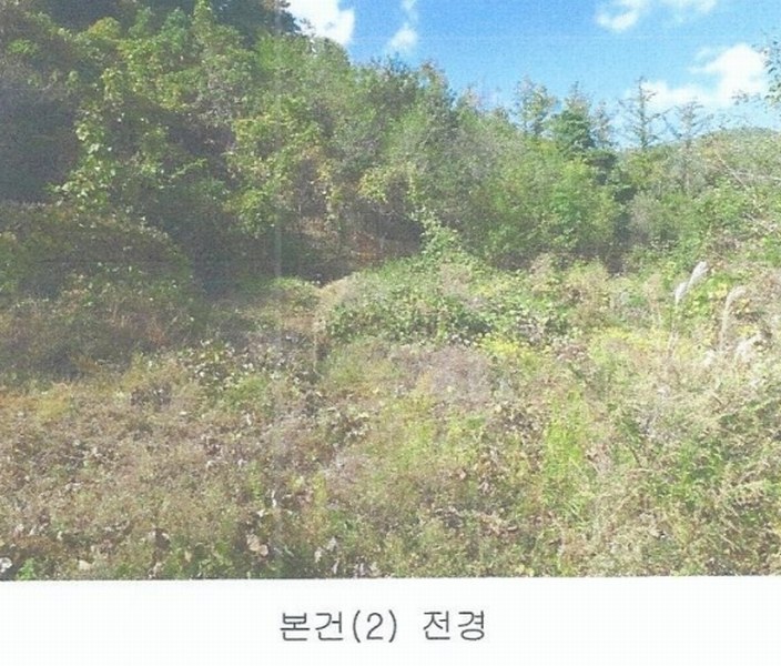 2024타경8647 울산광역시 울주군 두서면 서하리 630-9 임야 경매 이미지