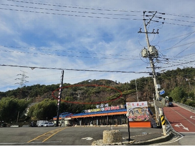 2024타경10121 경상남도 양산시 평산동 산119-5 임야 경매 이미지