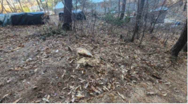 2024타경10121 경상남도 양산시 평산동 산119-5 임야 경매 이미지