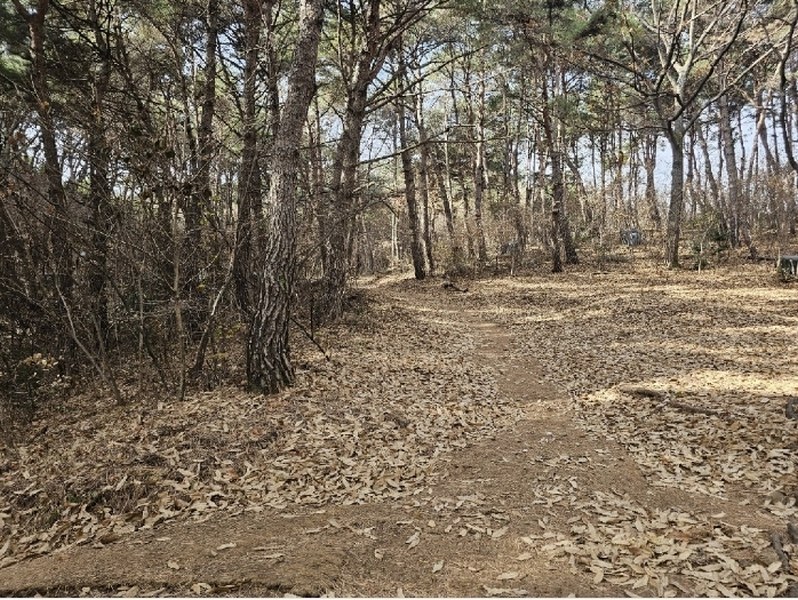 2024타경10121 경상남도 양산시 평산동 산119-5 임야 경매 이미지