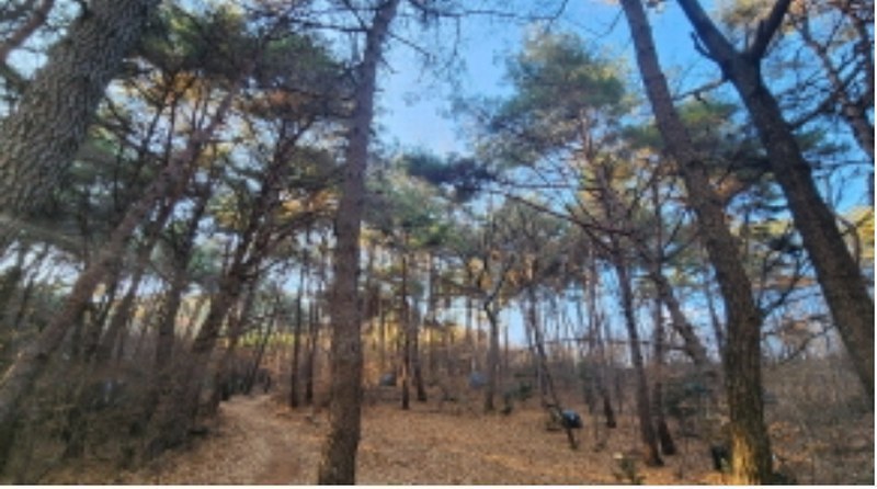 2024타경10121 경상남도 양산시 평산동 산119-5 임야 경매 이미지
