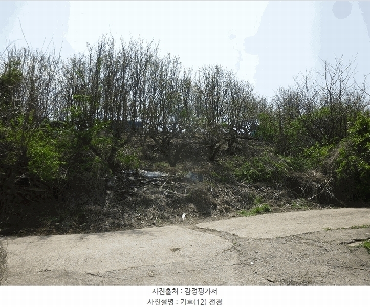 2024타경103894 울산광역시 북구 어물동 240-1 농지 경매 이미지