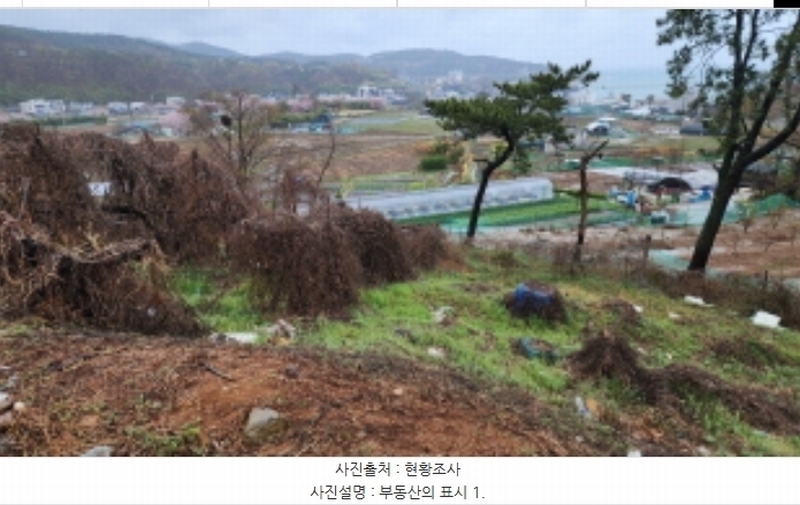 2024타경103894 울산광역시 북구 어물동 240-1 농지 경매 이미지