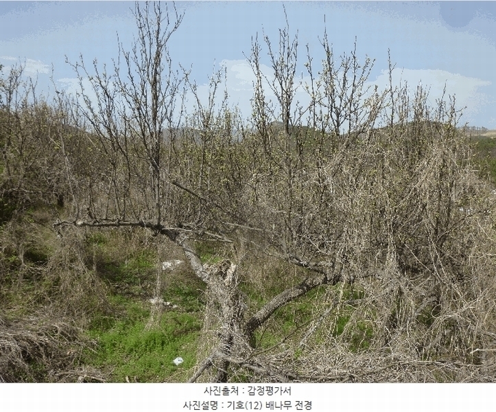 2024타경103894 울산광역시 북구 어물동 240-1 농지 경매 이미지