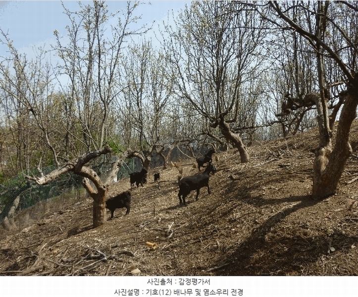 2024타경103894 울산광역시 북구 어물동 240-1 농지 경매 이미지