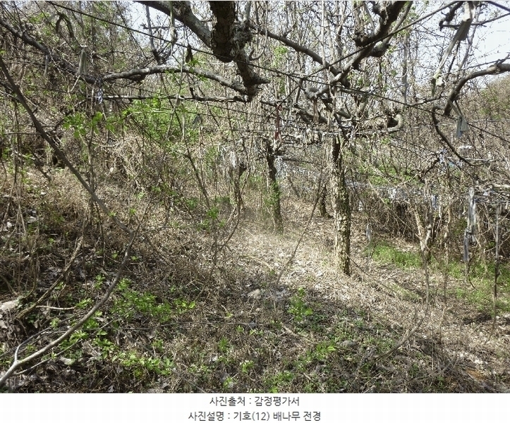 2024타경103894 울산광역시 북구 어물동 240-1 농지 경매 이미지
