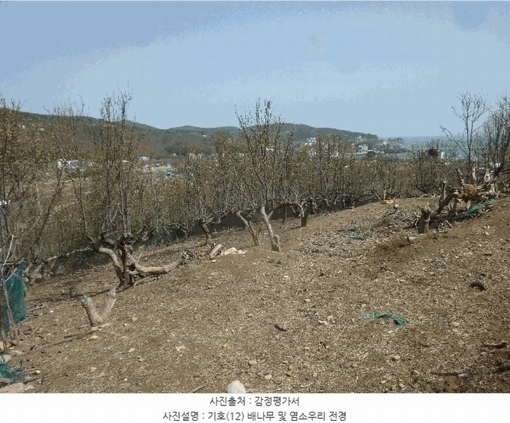2024타경103894 울산광역시 북구 어물동 240-1 농지 경매 이미지