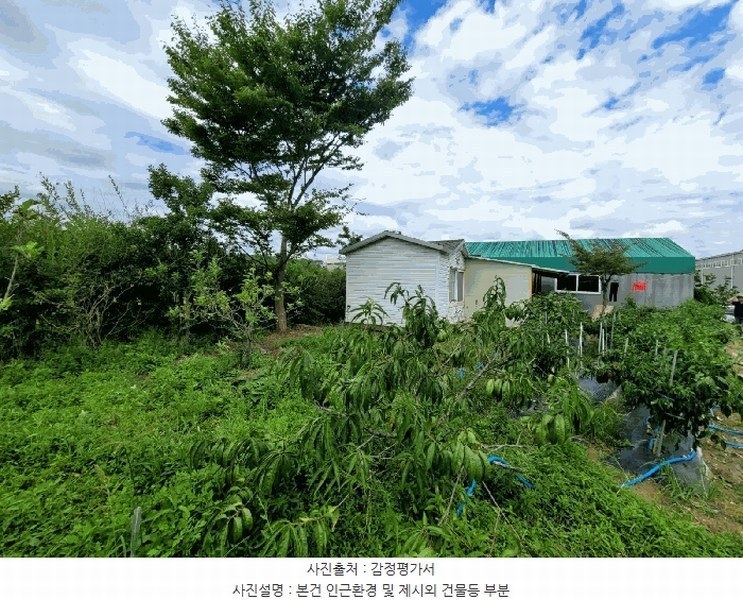 2024타경115446 울산광역시 울주군 서생면 명산리 186-5 농지 경매 이미지