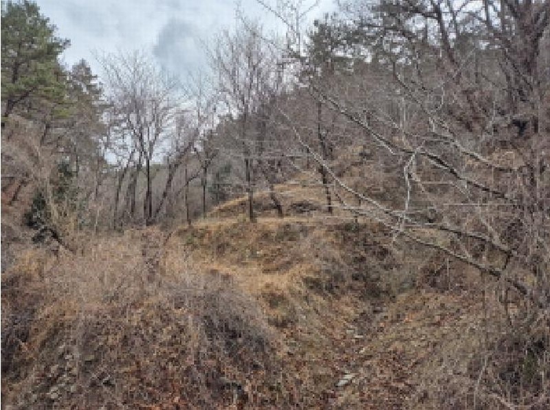 2025타경919 울산광역시 울주군 서생면 나사리 31 농지 경매 이미지