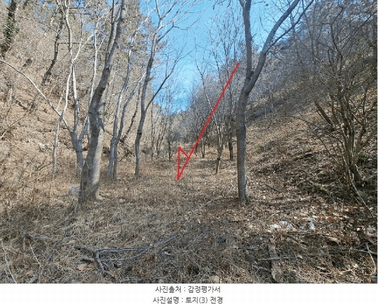 2025타경919 울산광역시 울주군 서생면 나사리 31 농지 경매 이미지