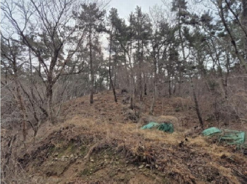 2025타경919 울산광역시 울주군 서생면 나사리 31 농지 경매 이미지