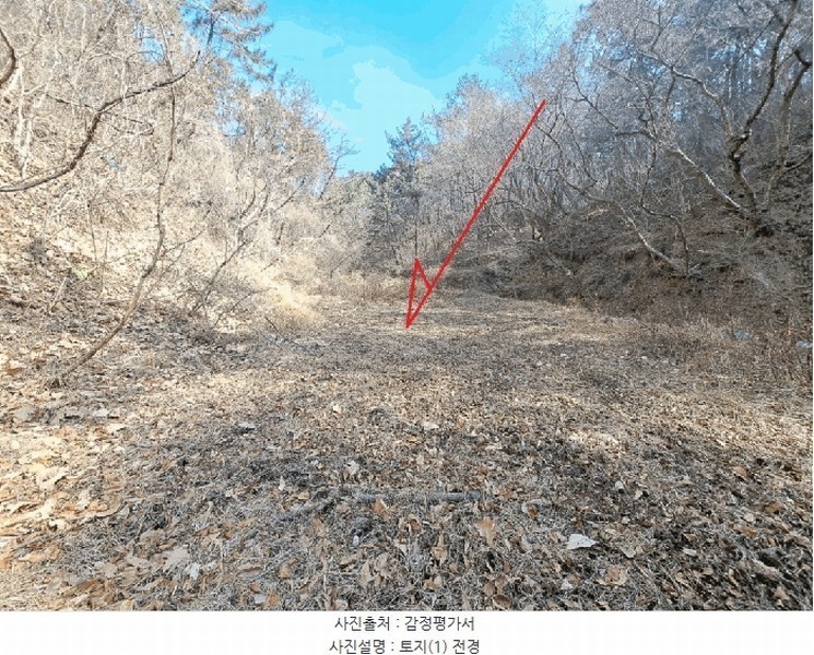 2025타경919 울산광역시 울주군 서생면 나사리 31 농지 경매 이미지