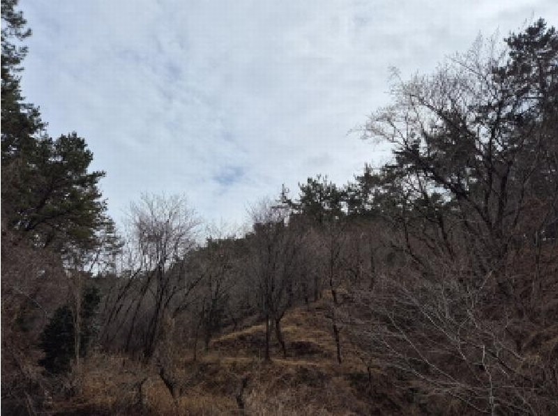 2025타경919 울산광역시 울주군 서생면 나사리 31 농지 경매 이미지