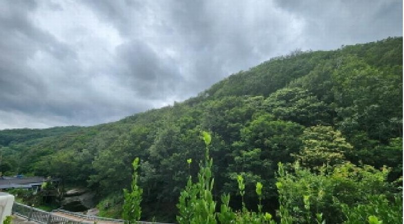 2025타경1172 경상남도 양산시 상북면 외석리 산32-36 임야 경매 이미지