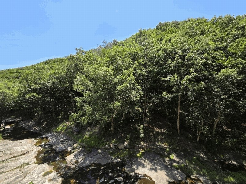 2025타경1172 경상남도 양산시 상북면 외석리 산32-36 임야 경매 이미지