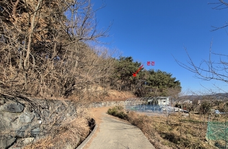 2025타경10401 울산광역시 울주군 상북면 거리 214-2 임야 경매 이미지