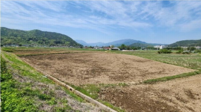 2025타경11567 울산광역시 울주군 상북면 천전리 79 농지 경매 이미지