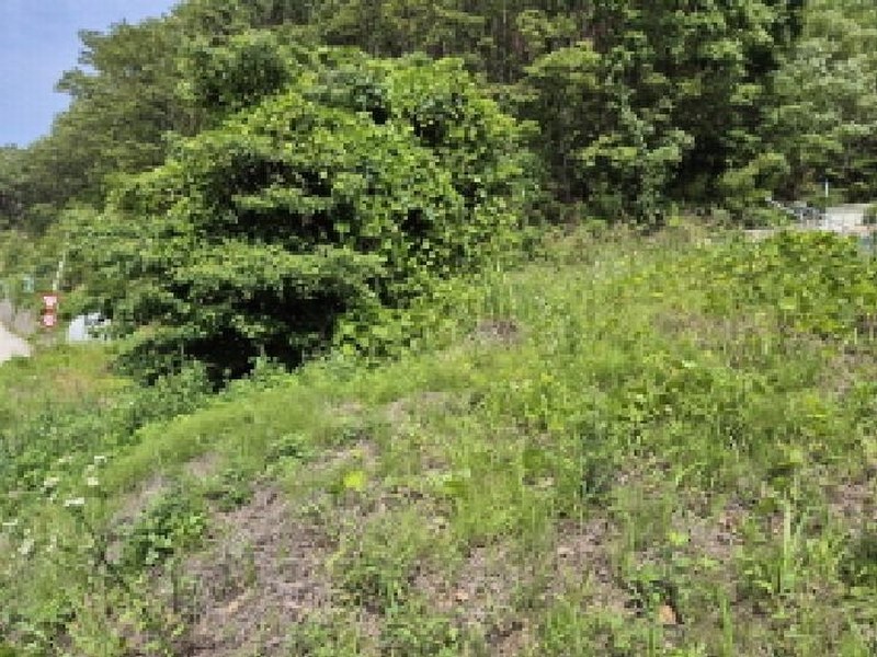 2025타경11748 울산광역시 울주군 온양읍 외광리 713 농지 경매 이미지