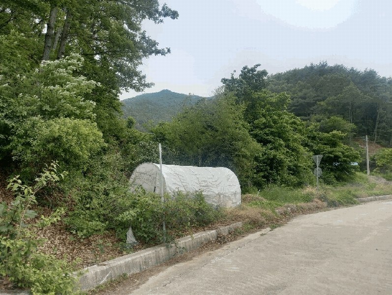 2025타경11748 울산광역시 울주군 온양읍 외광리 713 농지 경매 이미지